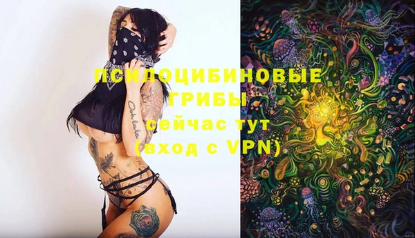 марки lsd Вяземский