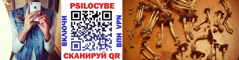 Галлюциногенные грибы Cubensis  Купить  Камышлов 